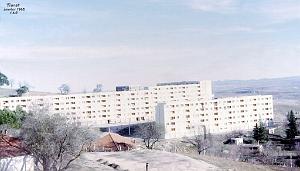 TIARET 1965